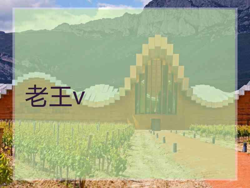 老王v